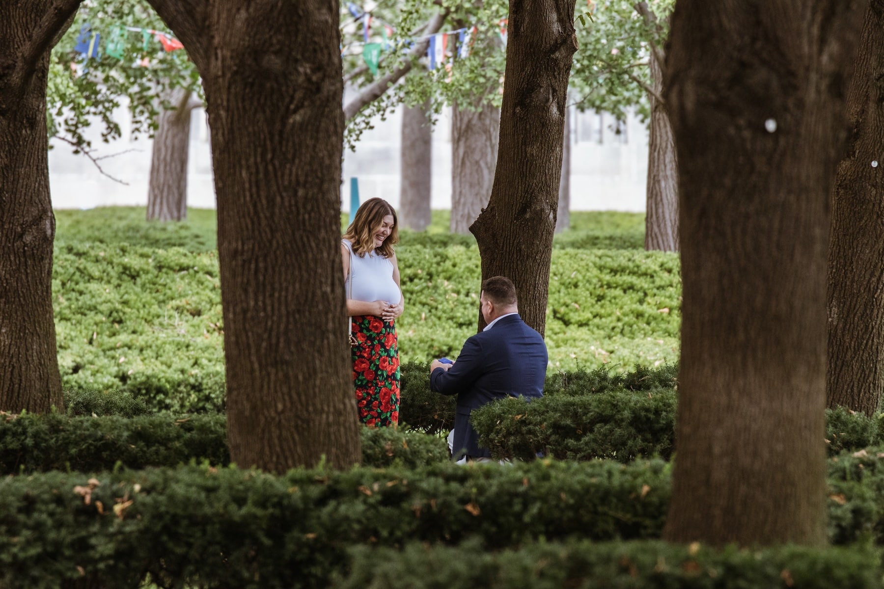Man kneels to propose among the linden trees at the Nelson-Atkins Museum of Art in Kansas City